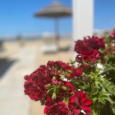 Marina Bay Beach ベッド・アンド・ブレックファスト *